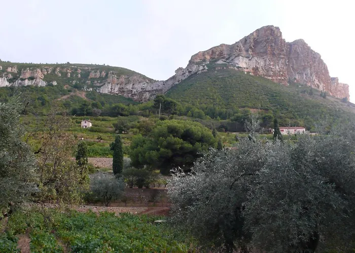 La Du Clos De La Tour Cassis
